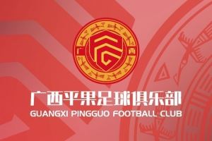 广西平果足球俱乐部致谢每一份关爱与祝福!
